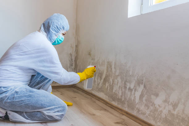 Licensed Mold Cleanup service in Lawrenceville, NJ - WQB Mold Removal