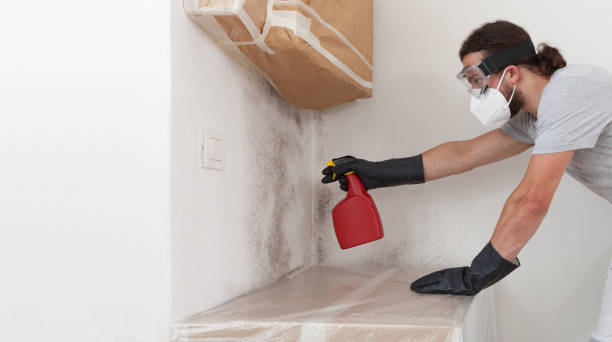 Professional Mold Cleanup technician working in Lawrenceville, NJ