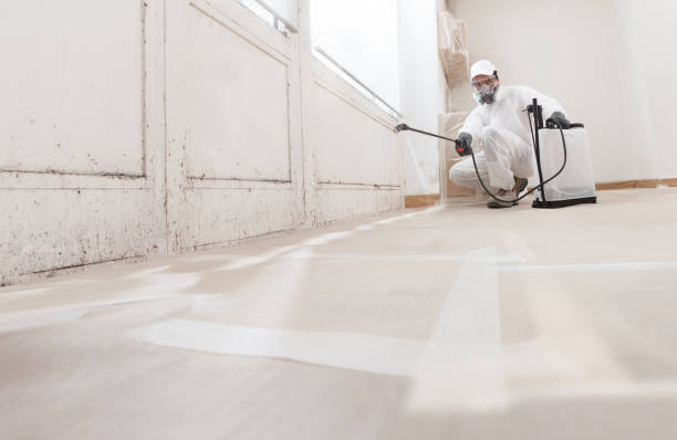 24/7 Emergency Mold Cleanup experts in Lawrenceville, NJ