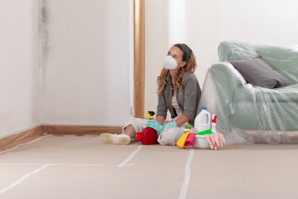 Reliable Mold Cleanup contractor in Lawrenceville, NJ by WQB Mold Removal
